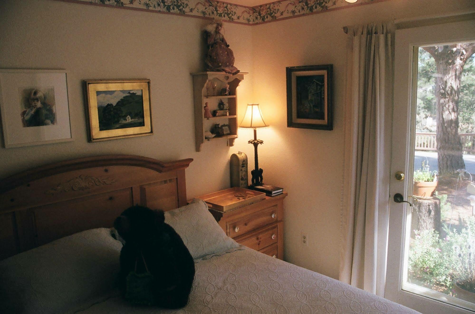 Dreydon House Bed And Breakfast Cambria Dış mekan fotoğraf